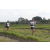 Team 45 / Raid l'Arbre Vert Amazones Bali - Trek