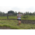 Team 45 / Raid l'Arbre Vert Amazones Bali - Trek