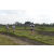 Team 08 / Raid l'Arbre Vert Amazones Bali - Trek