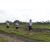 Team 20 / Raid l'Arbre Vert Amazones Bali - Trek