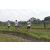 Team 03 / Raid l'Arbre Vert Amazones Bali - Trek