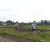 Team 37 / Raid l'Arbre Vert Amazones Bali - Trek