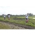 Team 70 / Raid l'Arbre Vert Amazones Bali - Trek