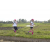 Team 70 / Raid l'Arbre Vert Amazones Bali - Trek