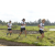 Team 35 / Raid l'Arbre Vert Amazones Bali - Trek