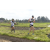 Team 69 / Raid l'Arbre Vert Amazones Bali - Trek