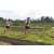 Team 17 / Raid l'Arbre Vert Amazones Bali - Trek
