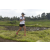 Team 17 / Raid l'Arbre Vert Amazones Bali - Trek