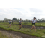 Team 39 / Raid l'Arbre Vert Amazones Bali - Trek