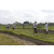 Team 10 / Raid l'Arbre Vert Amazones Bali - Trek