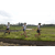 Team 21 / Raid l'Arbre Vert Amazones Bali - Trek