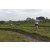 Team 13 / Raid l'Arbre Vert Amazones Bali - Trek