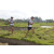 Team 58 / Raid l'Arbre Vert Amazones Bali - Trek