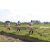 Team 28 / Raid l'Arbre Vert Amazones Bali - Trek