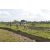 Team 22 / Raid l'Arbre Vert Amazones Bali - Trek