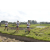 Team 59 / Raid l'Arbre Vert Amazones Bali - Trek