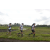 Team 25 / Raid l'Arbre Vert Amazones Bali - Trek