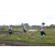 Team 19 / Raid l'Arbre Vert Amazones Bali - Trek