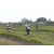 Team 67 / Raid l'Arbre Vert Amazones Bali - Trek