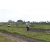 Team 67 / Raid l'Arbre Vert Amazones Bali - Trek