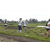 Team 67 / Raid l'Arbre Vert Amazones Bali - Trek
