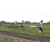 Team 26 / Raid l'Arbre Vert Amazones Bali - Trek