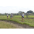 Team 18 / Raid l'Arbre Vert Amazones Bali - Trek