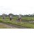 Team 30 / Raid l'Arbre Vert Amazones Bali - Trek