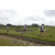 Team 24 / Raid l'Arbre Vert Amazones Bali - Trek