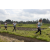 Team 64 / Raid l'Arbre Vert Amazones Bali - Trek
