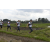 Team 60 / Raid l'Arbre Vert Amazones Bali - Trek