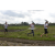 Team 43 / Raid l'Arbre Vert Amazones Bali - Trek