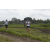 Team 56 / Raid l'Arbre Vert Amazones Bali - Trek