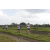 Team 49 / Raid l'Arbre Vert Amazones Bali - Trek