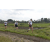 Team 11 / Raid l'Arbre Vert Amazones Bali - Trek