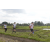 Team 23 / Raid l'Arbre Vert Amazones Bali - Trek