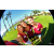 Team 23 / Raid Amazones Californie