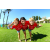 Team 21 / Raid Amazones Californie