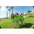 Team 35 / Raid Amazones Californie