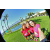 Team 29 / Raid Amazones Californie