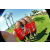 Team 77 / Raid Amazones Californie