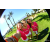 Team 49 / Raid Amazones Californie