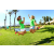 Team 44 / Raid Amazones Californie