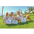Team 50 / Raid Amazones Californie