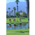 Team 72 / Raid Amazones Californie