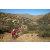Raid Amazones Californie