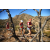 Raid Amazones Californie