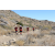 Team 19 / Raid Amazones Californie