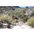 Team 61 / Raid Amazones Californie
