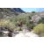 Team 50 / Raid Amazones Californie
